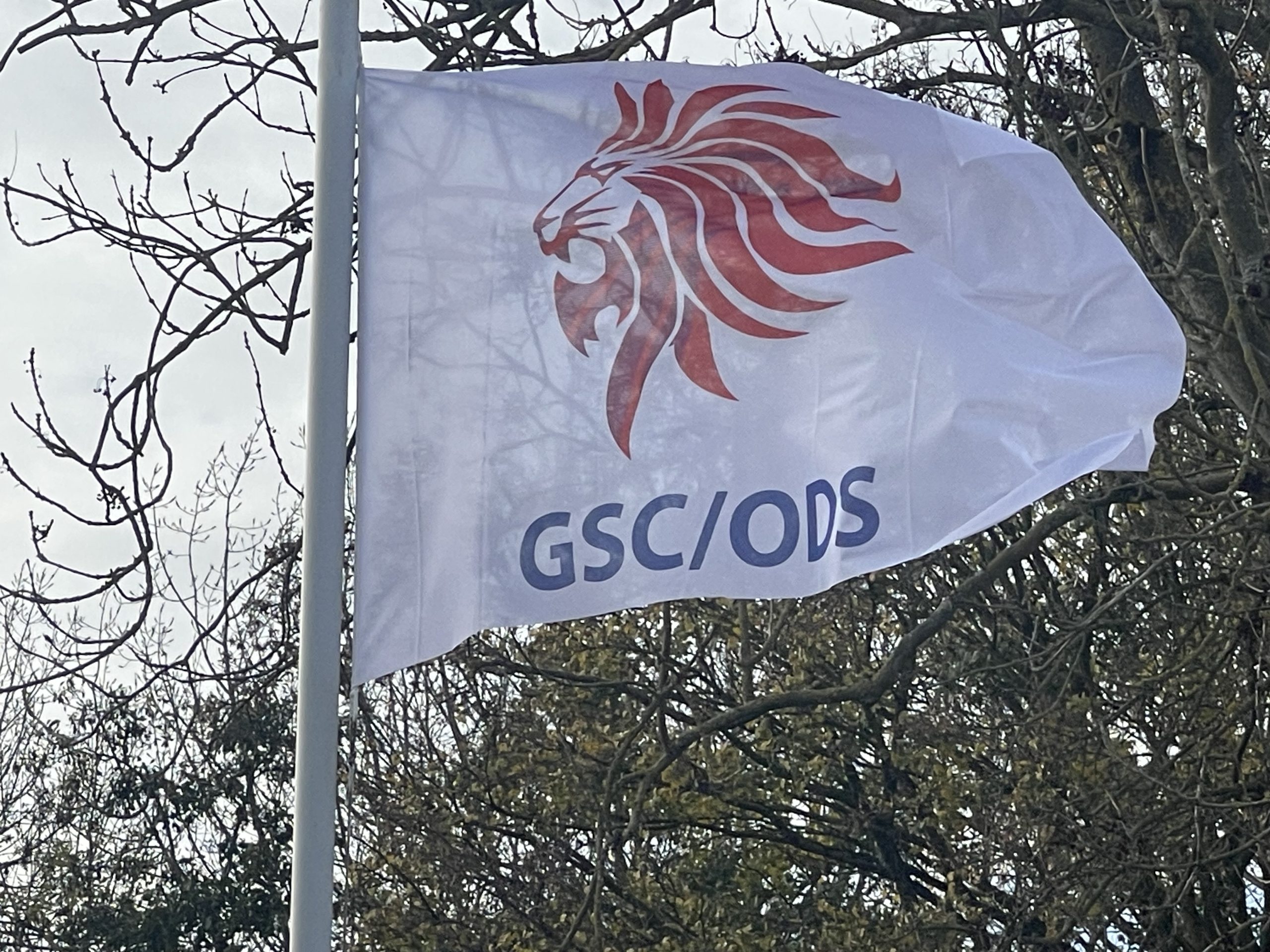 Plan Stadspark raakt onze club